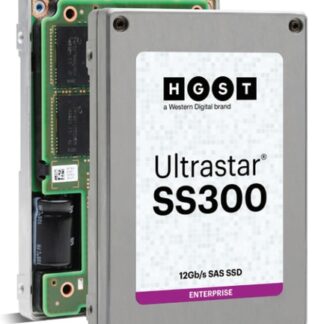 Western Digital Ultrastar SS300