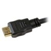 HDMI Type A (Standard)