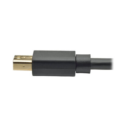 Tripp Lite P583-006-BK Mini DisplayPort to DisplayPort Adapter Cable (M/M)