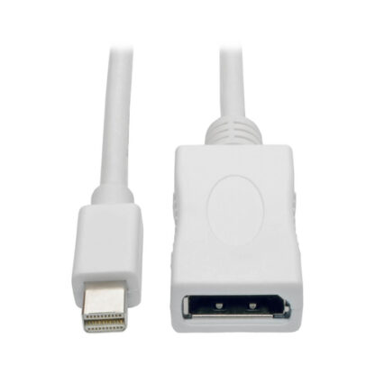 Tripp Lite P139-010-DP-V2B Keyspan Mini DisplayPort to DisplayPort Adapter Cable (M/F)