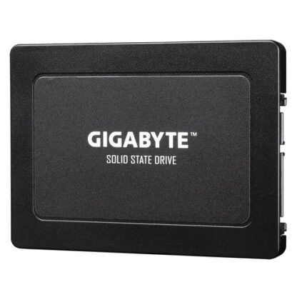 Gigabyte GP-GSTFS31960GNTD-V